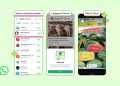 30 kalimat motivasi untuk status WhatsApp yang bermakna dan inspiratif