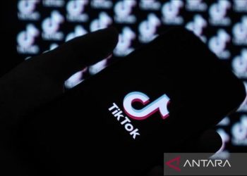 Tertarik promo makanan di TikTok? Inilah cara membelinya