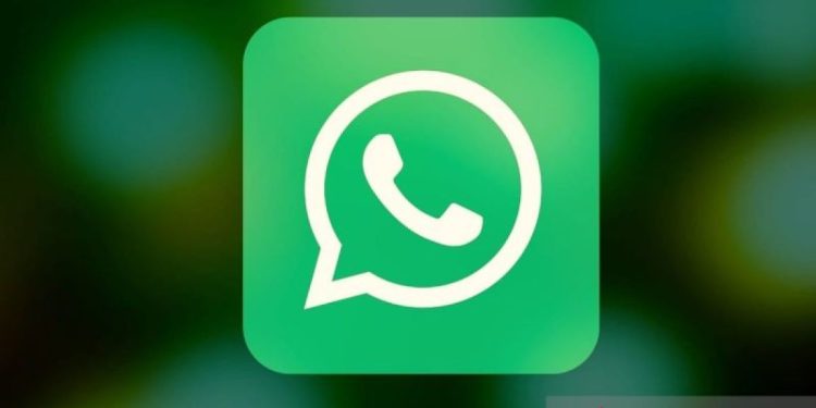 Cara cek status WhatsApp orang lain tanpa diketahui, simak rahasianya