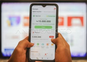 Alasan Gen Z lebih memilih Paylater ketimbang kartu kredit