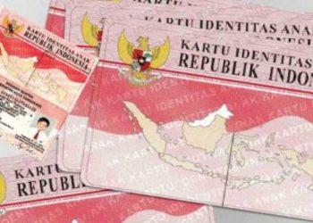 KTP Pink Penjelasan Lengkap Fungsi dan Prosedur Pembuatan Kartu Identitas