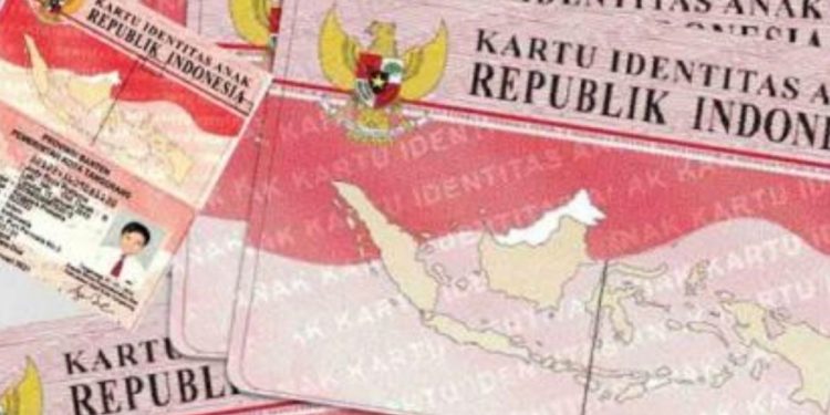 KTP Pink Penjelasan Lengkap Fungsi dan Prosedur Pembuatan Kartu Identitas