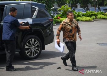 Tugas yang dilakukan oleh Badan Intelijen Negara di Indonesia