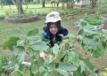 Rayakan Hari Pangan Sedunia 2025 dengan mengurangi limbah makanan