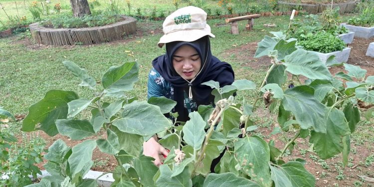 Rayakan Hari Pangan Sedunia 2025 dengan mengurangi limbah makanan