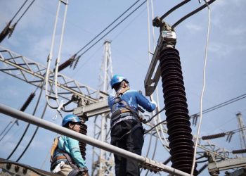 Rekrutmen PLN Group 1-5 Oktober 2025, simak syarat dan jurusan yang dibutuhkan
