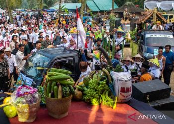 Tema dan acara Forum Pangan Dunia 2025 untuk Hari Pangan Sedunia
