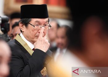 Profil CDIA dan sosok Prajogo Pangestu di balik kesuksesan perusahaan
