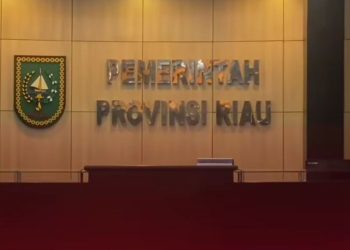 Harta Kekayaan Wakil Gubernur Riau S F Hariyanto Terungkap